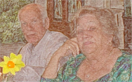 MomnDad-03-Flowerfinal.6cWhHeuOKNY8.jpg