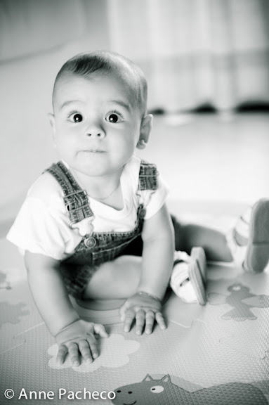 2010-11-26-luca-129.jpg