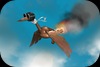 dodo