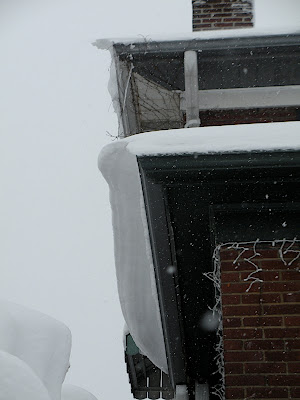 snowstorm 2010