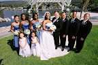 The Wedding Party