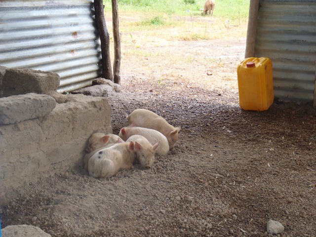 [P83100992.jpg]