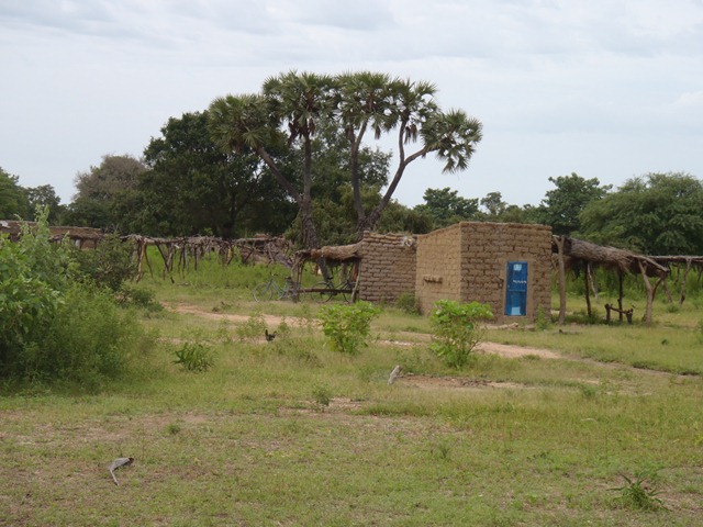 [P920011422.jpg]