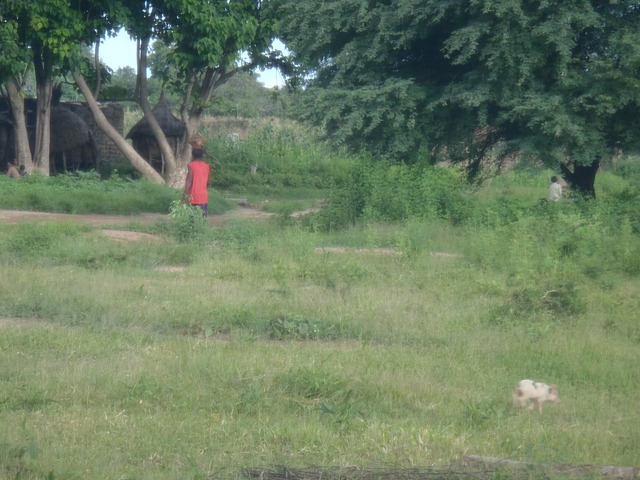 [P90101052.jpg]
