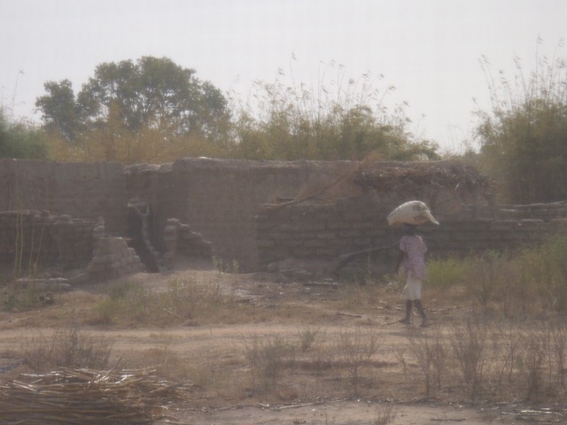 [PB2401402.jpg]