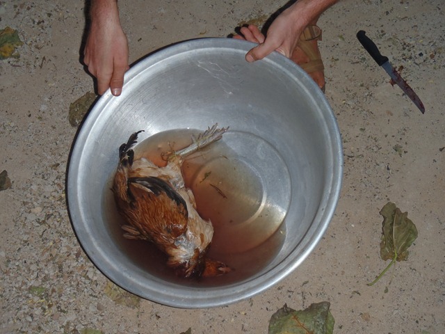 [PB2501522.jpg]