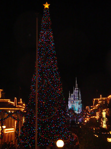 DSC03769.JPG