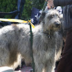 IMG_5607.JPG