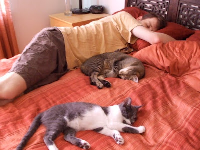 Family nap time!