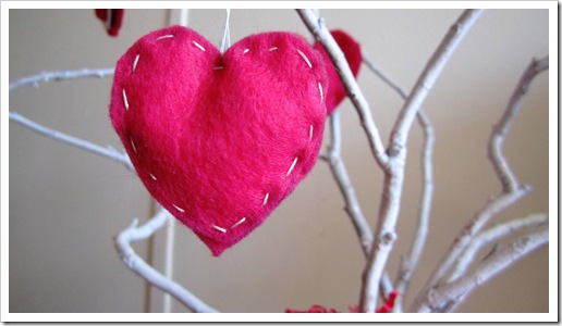 IMG_0181 IMG_0181