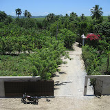 The driveway up to the house.