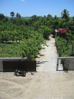 The driveway up to the house.