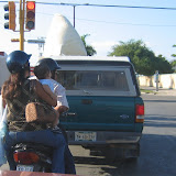 Babies on motos