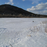Frozen Lake Palmer.