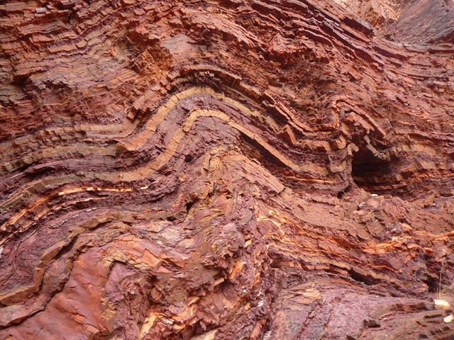 [P11108032.jpg]