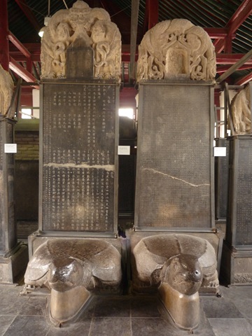 [P1070496[7].jpg]