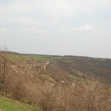 stina_2010