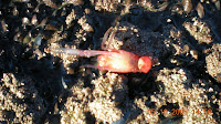 fotos caleta video 176.jpg