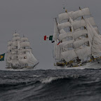 précédent le Brésilien Cisne Branco