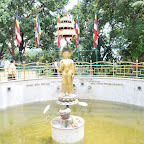 DSC_0937.jpg
