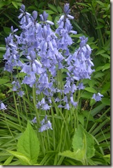 053