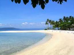 [paradise beach victoria australia[2].jpg]