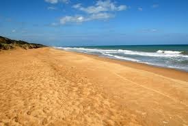 [paradise beach victoria australia2[3].jpg]