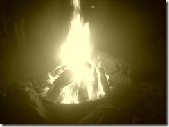 20101211180635 (2)