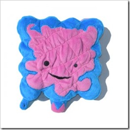 intestino intestino
