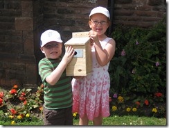 2.QP kids Bird box