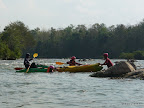 TDM-10-Laos-LuangPrabang-kayak-Elephant-84.jpg