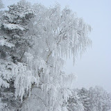 IMG_8852.jpg