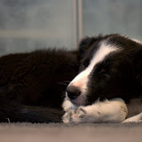 IMG_8840.jpg