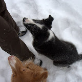 IMG_8908.jpg