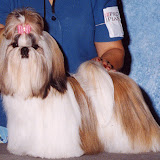 Marlo