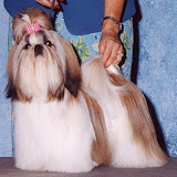 Marlo