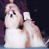 Betty