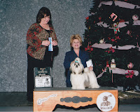 Ch. Hallmark Jolei Bells Will Be Ringing "Willy" (December 2009)