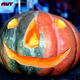 STUD HELLOWEEN PARTY