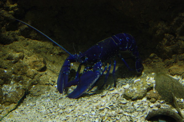 IMG_0663 IMG_0663