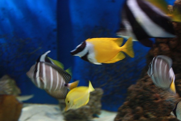 IMG_0750 IMG_0750
