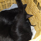 DSC07312.JPG