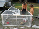 Grays incredible enclosure