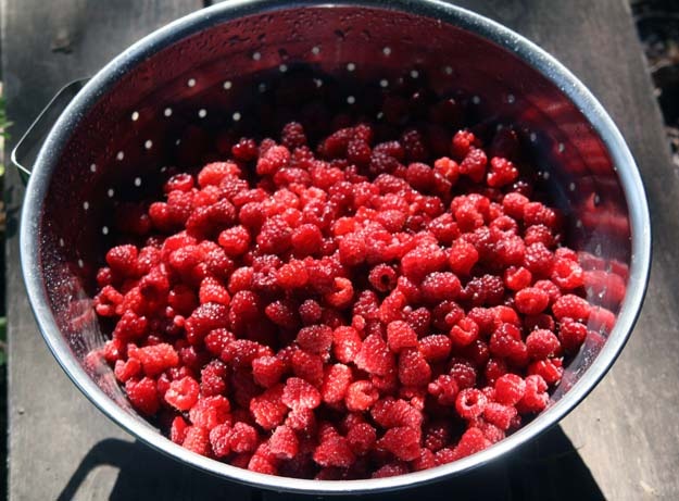[raspberries strainer[4].jpg]