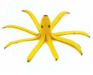[banan[3].jpg]
