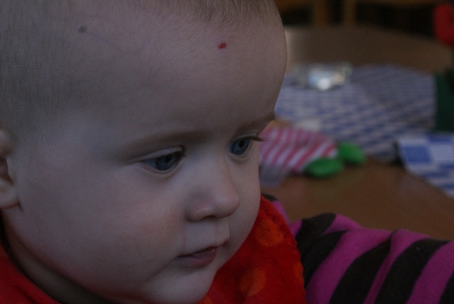 [DSC06458[2].jpg]