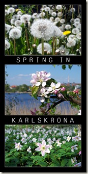 spring in karlskrona