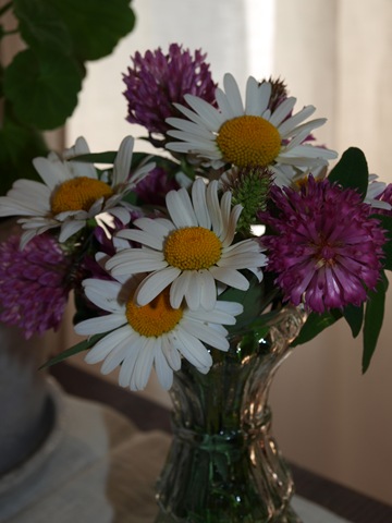 [P70201306.jpg]
