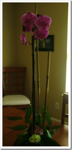 wilkerson flowers