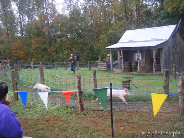 [pumpkin patch 025[12].jpg]
